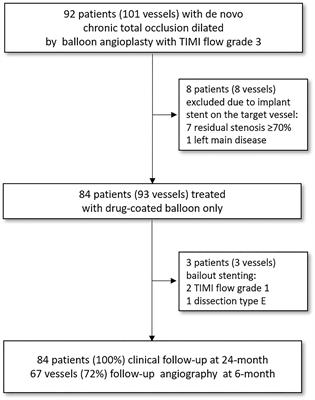 Clinical Outcomes of Drug-Coated Balloon Treatment After Successful Revascularization of de novo Chronic Total Occlusions